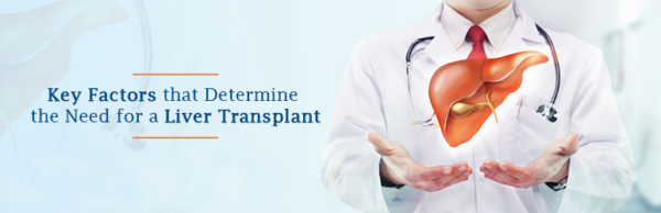 When You Need A Liver Transplant Ailbs India