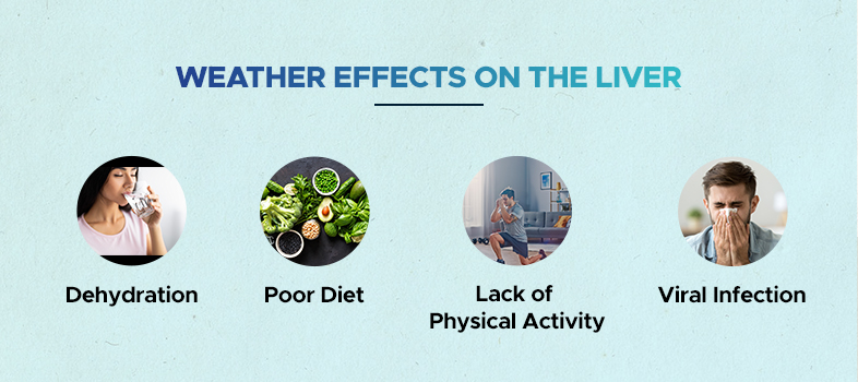 weather effects on the liver