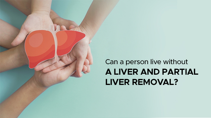 Can A Person Live Without A Liver And Partial Liver Removal - AILBS India