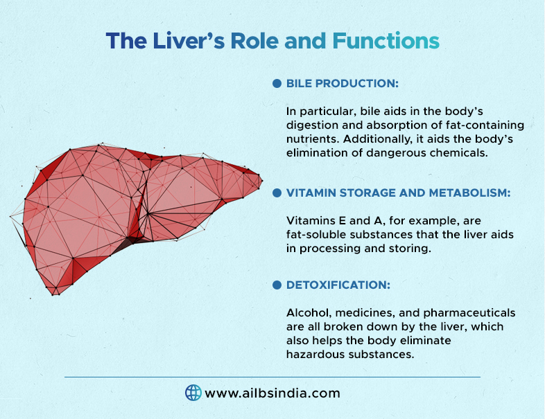 Can A Person Live Without A Liver And Partial Liver Removal