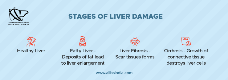 stages of liver damage